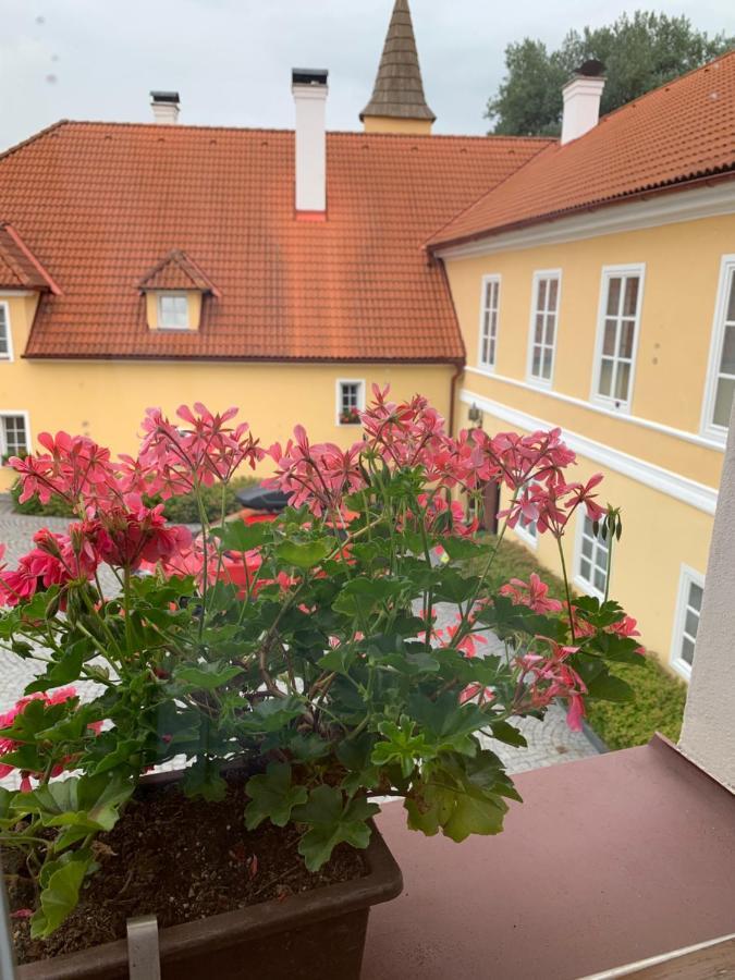 Hotel Zámek Jindřichovice Kolinec Exterior foto